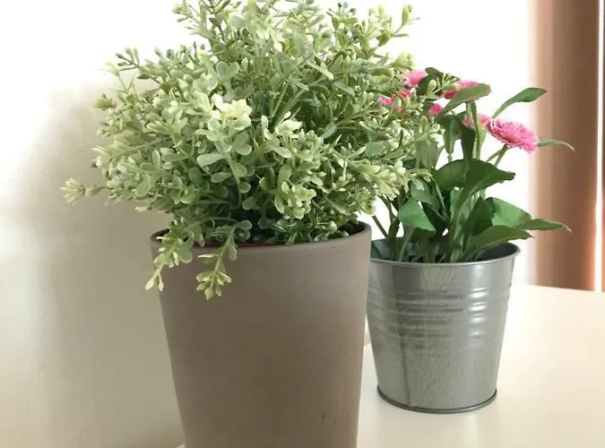 Casa Giulia * Salionze