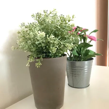 Casa Giulia * Salionze